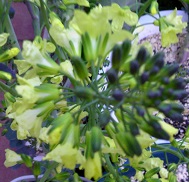 TS3U1334